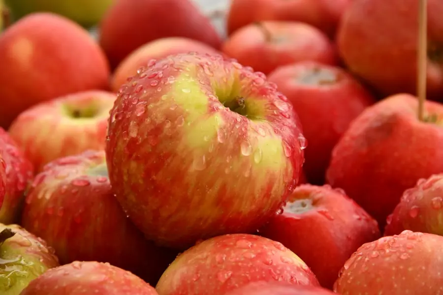 Fresh red apples