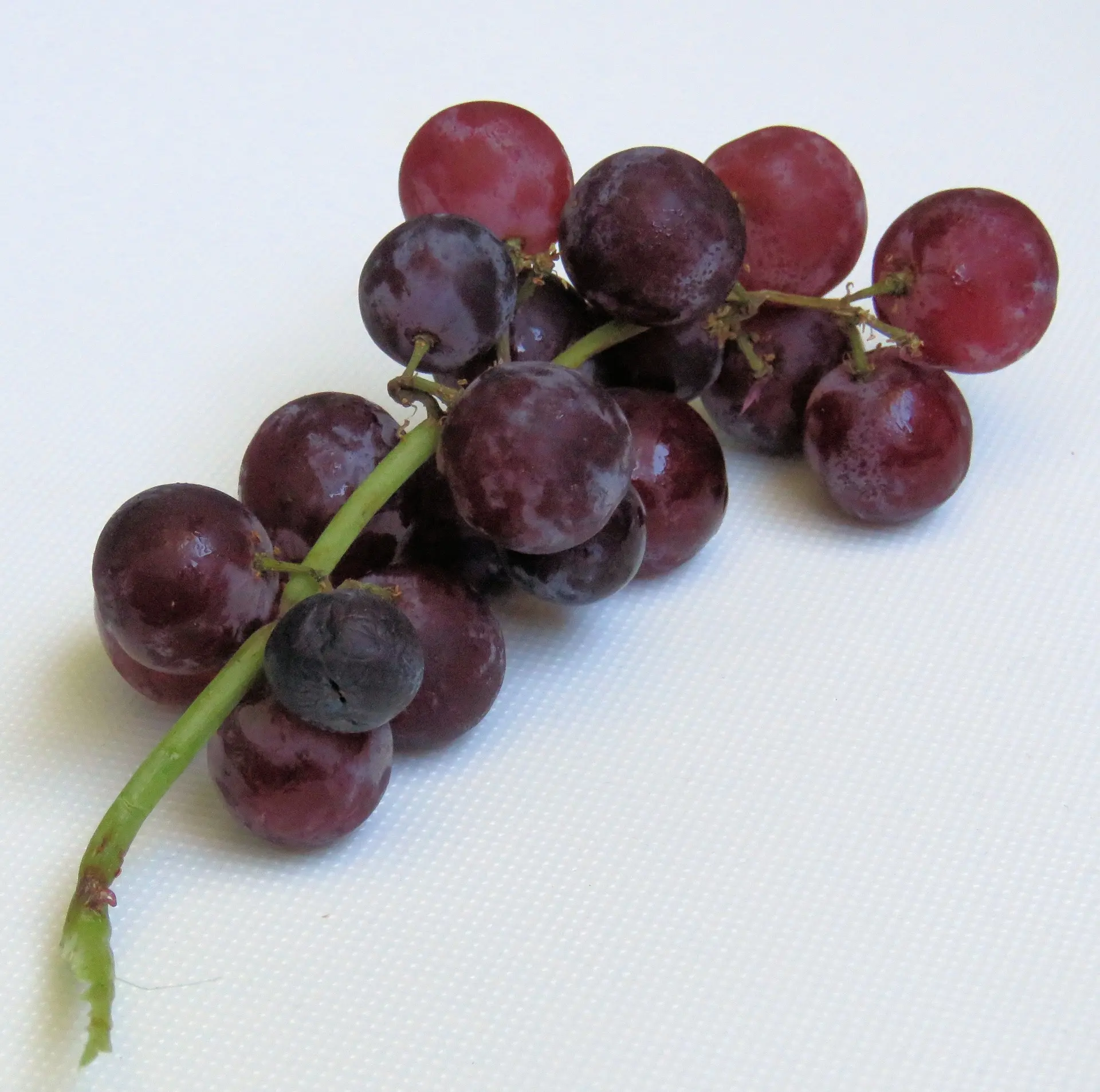 Fresh table grapes on a white background