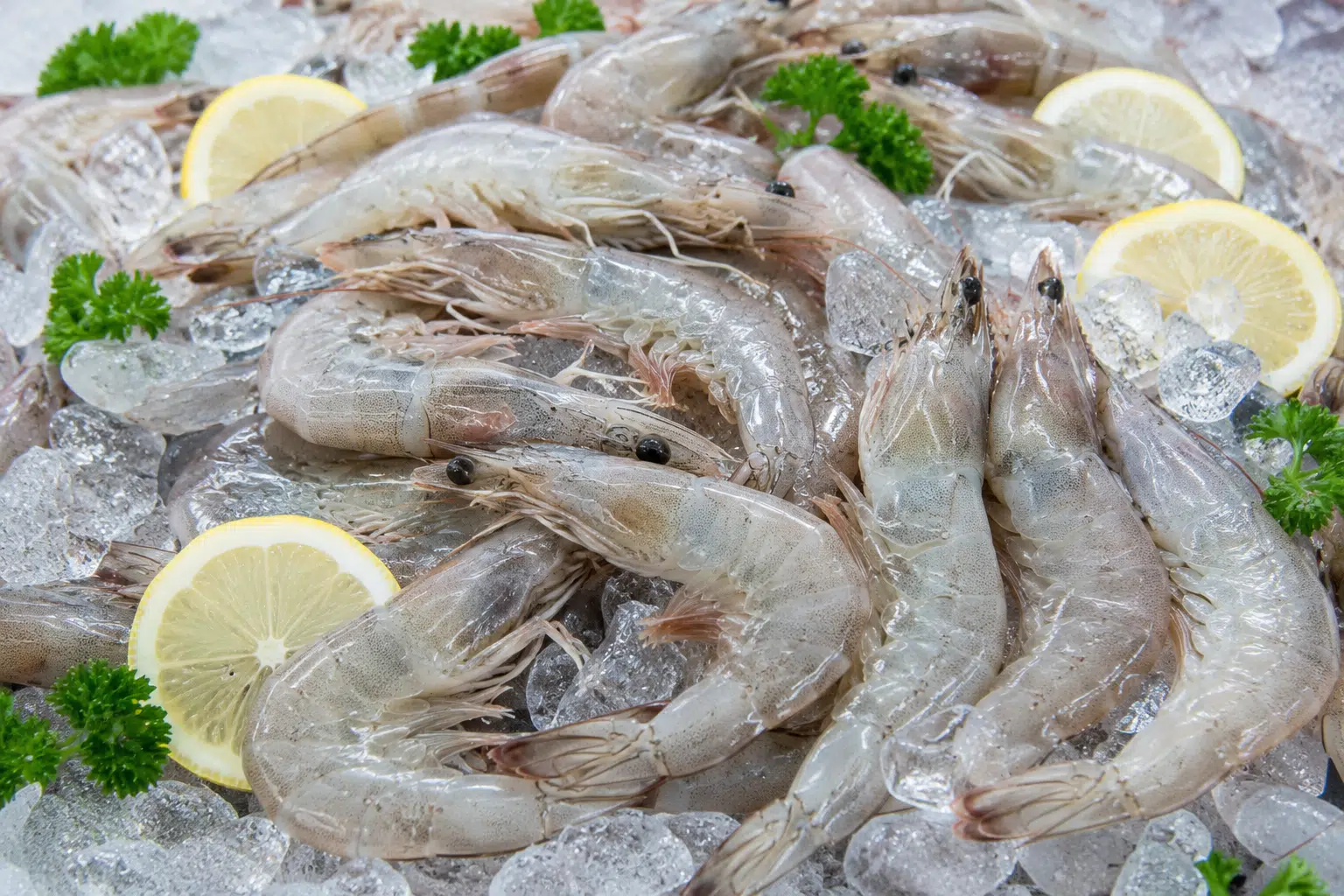 Frozen aquatic products and cold-chain supply